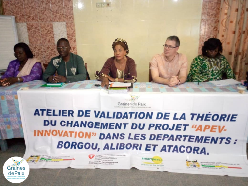 Theory of Change workshop of the APEV-Innovation Project in Benin.