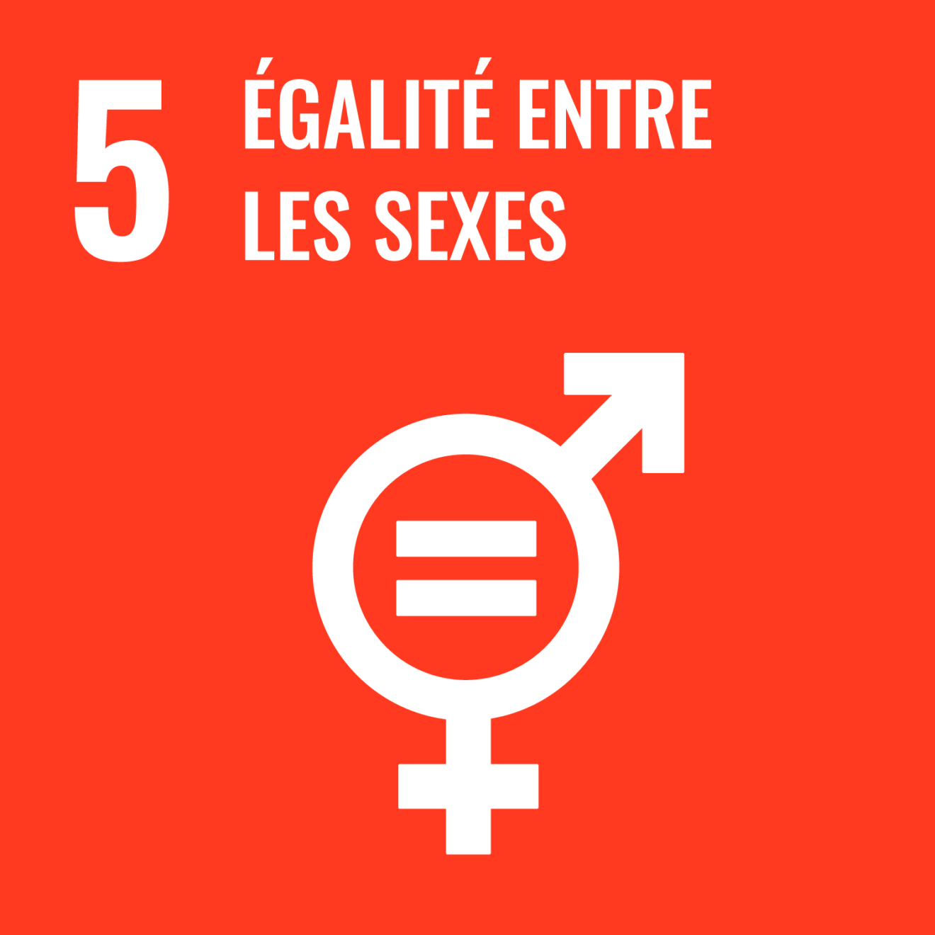 Objectif de développement durable 5 : Égalité entre les sexes