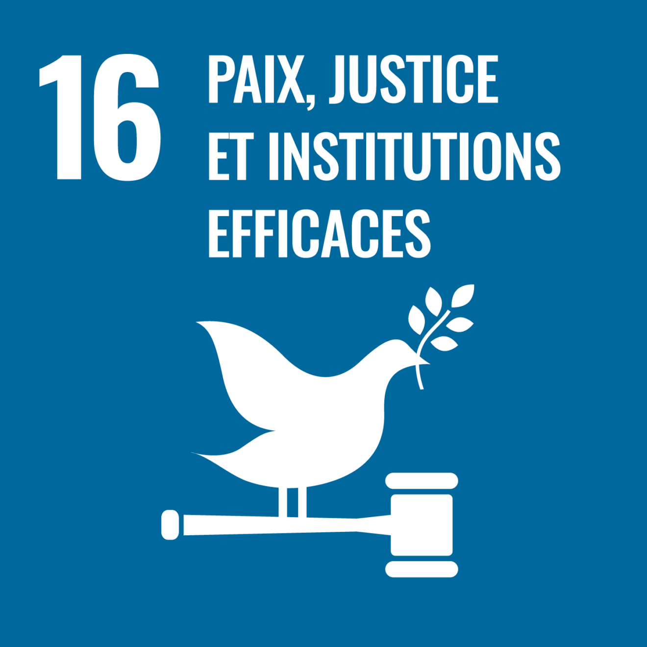 Objectif de développement durable 16 : Paix, justice et institutions efficaces