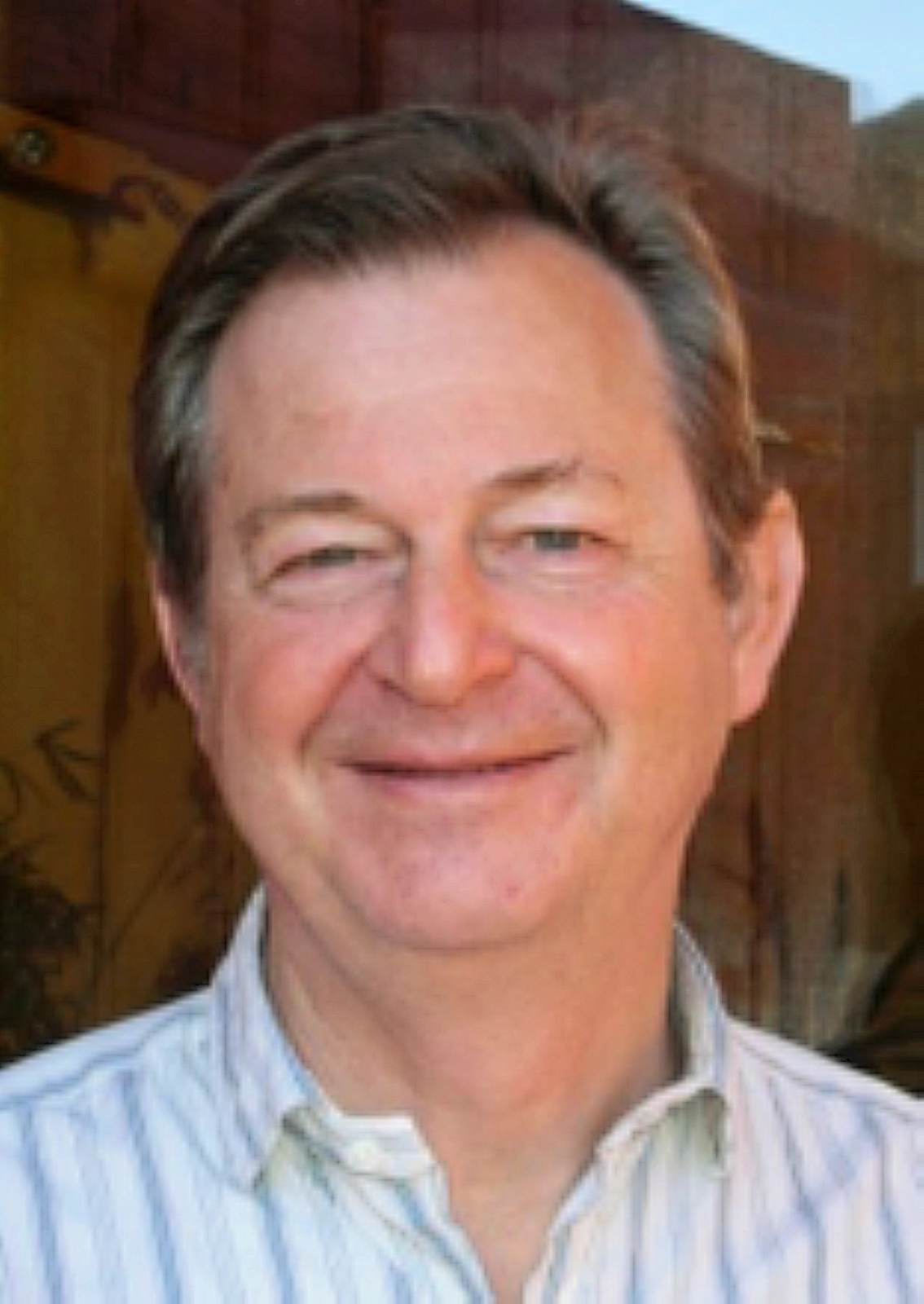 Dominique Falque, Conseil de Fondation