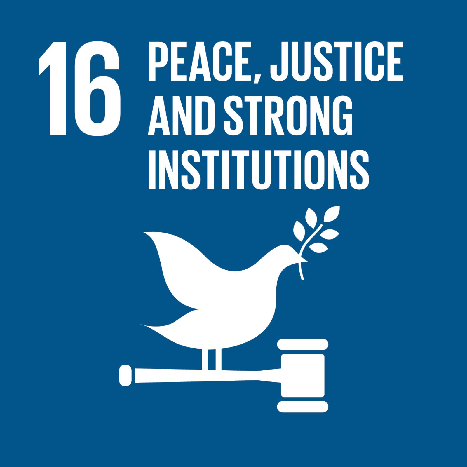Sustainable Development Goal 16: Peace, Justice and Strong Institutions